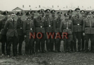 WW2 Picture Photo German officers captured 3091