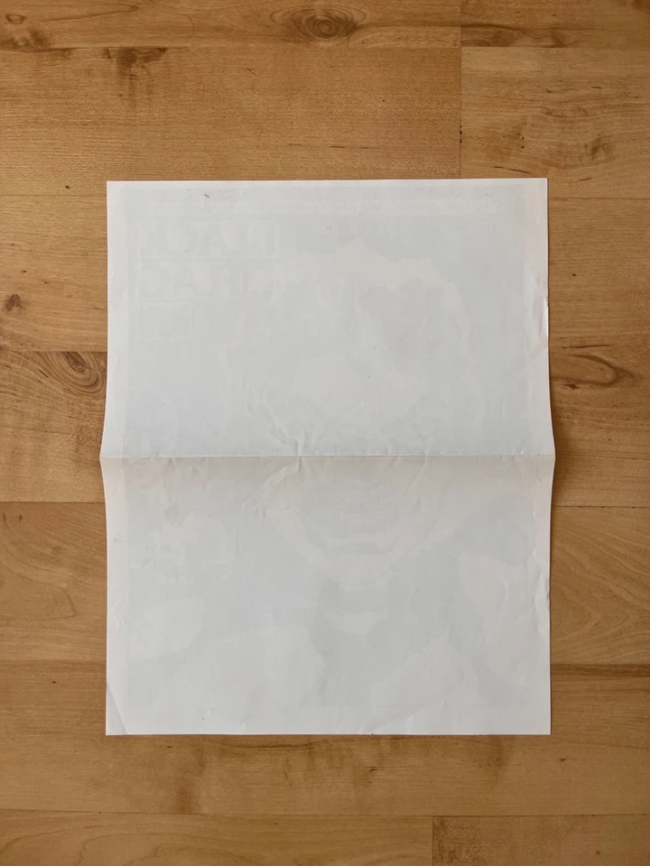 RAYMOND PETTIBON Raro Bandera Negra Original Estampado Vintage A3 Foto 4 de 4