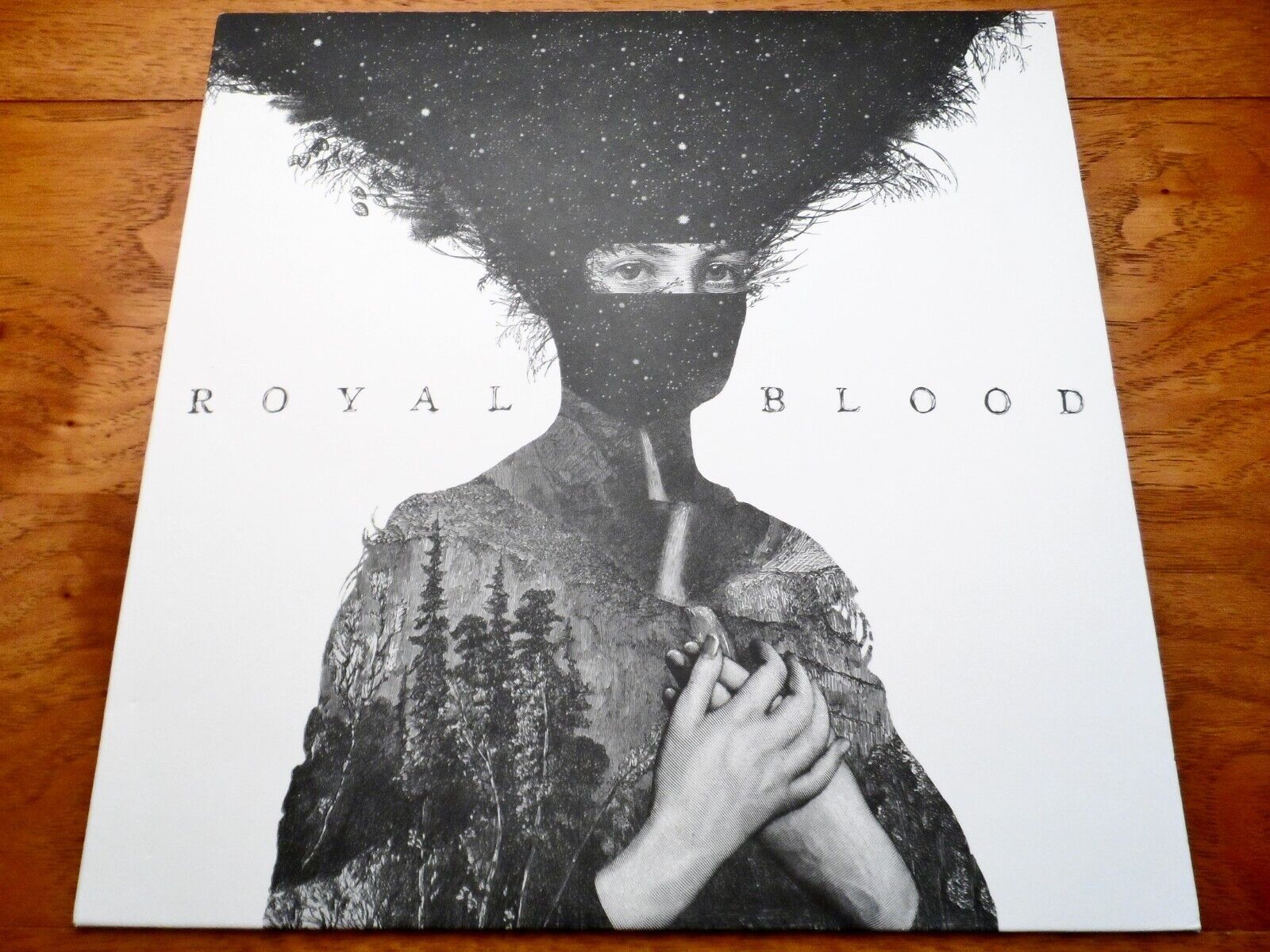 ♫ Royal Blood S/T Debut ♫ Rare 2014 Warner Bros. Original UK Import Vinyl LP NM