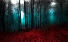 Landscape nature red blue forest mist trees Custom Gaming Mat Desk