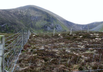 Foto 6x4 Blick über ein geschlossenes Vegetationsforschungsgrundstück Richtung Slieve c2015