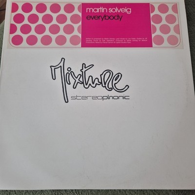 Martin Solveig - Everybody - 12  Vinyl Single - VG+ - Free UK Postage 