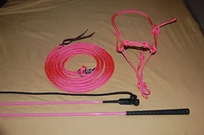PINK STIFF HALTER, 14' LEAD ROPE, AND HANDY CARROT STICK FITS PARELLI TRAINING