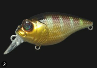 Megabass QUIET GRIFFON SR-X FLOATING JAPAN CRANKBAIT PM GlLL COLOUR