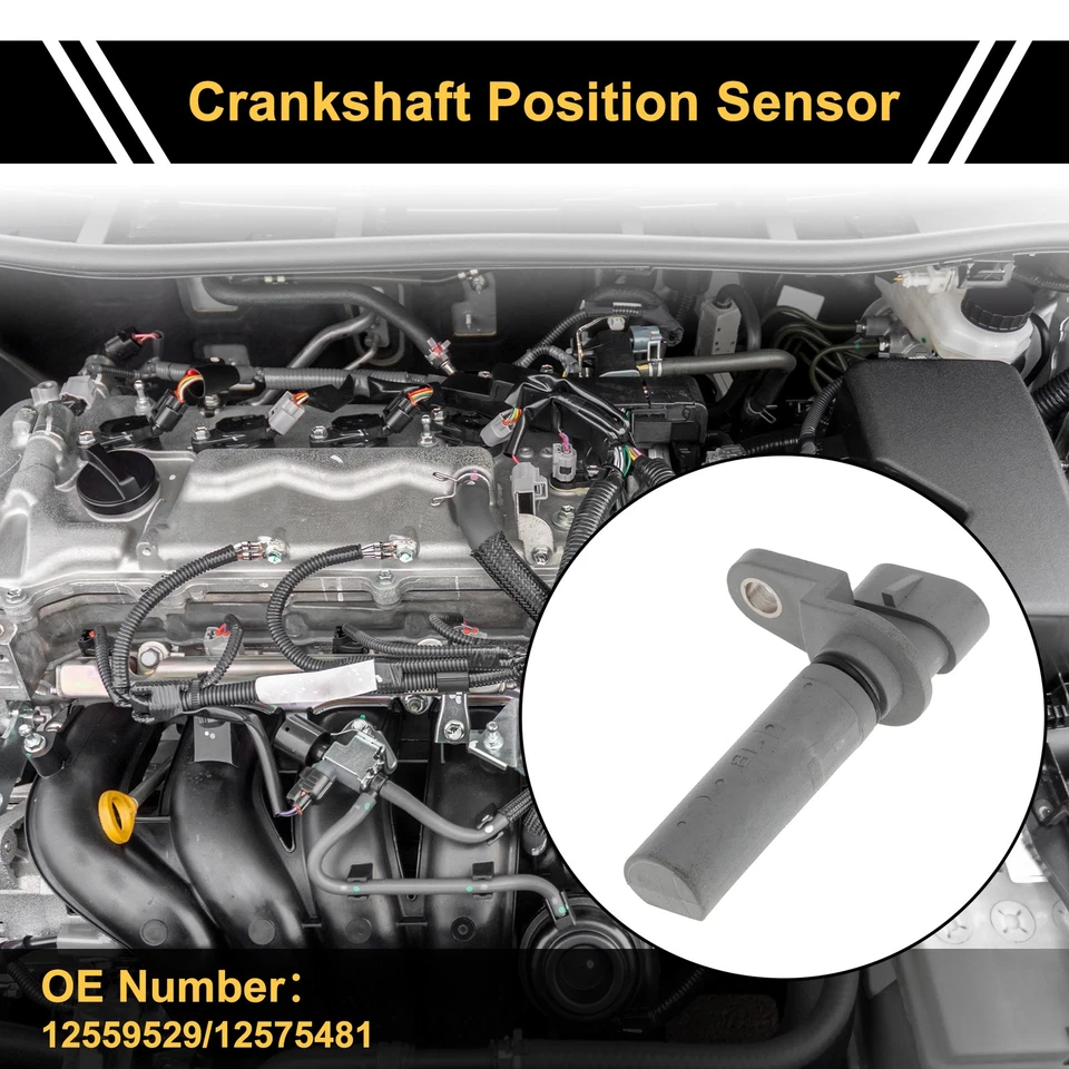 Sensor de posición del cigüeñal 1 pieza Nº12559529 para Cadillac Eldorado 4.6 2000-2002 Foto 2 de 4