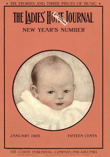 LADIES HOME JOURNAL 1900-1909 119 Classic Issue Collection On USB Flash Drive - Picture 6 of 12
