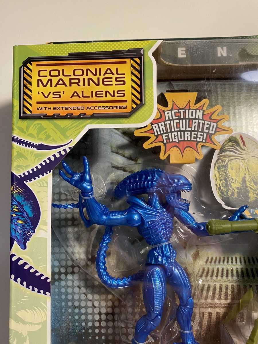 高品質！イランド スカルホーン（幼獣）A SA01_acec03a7-4571-47ad-a244-