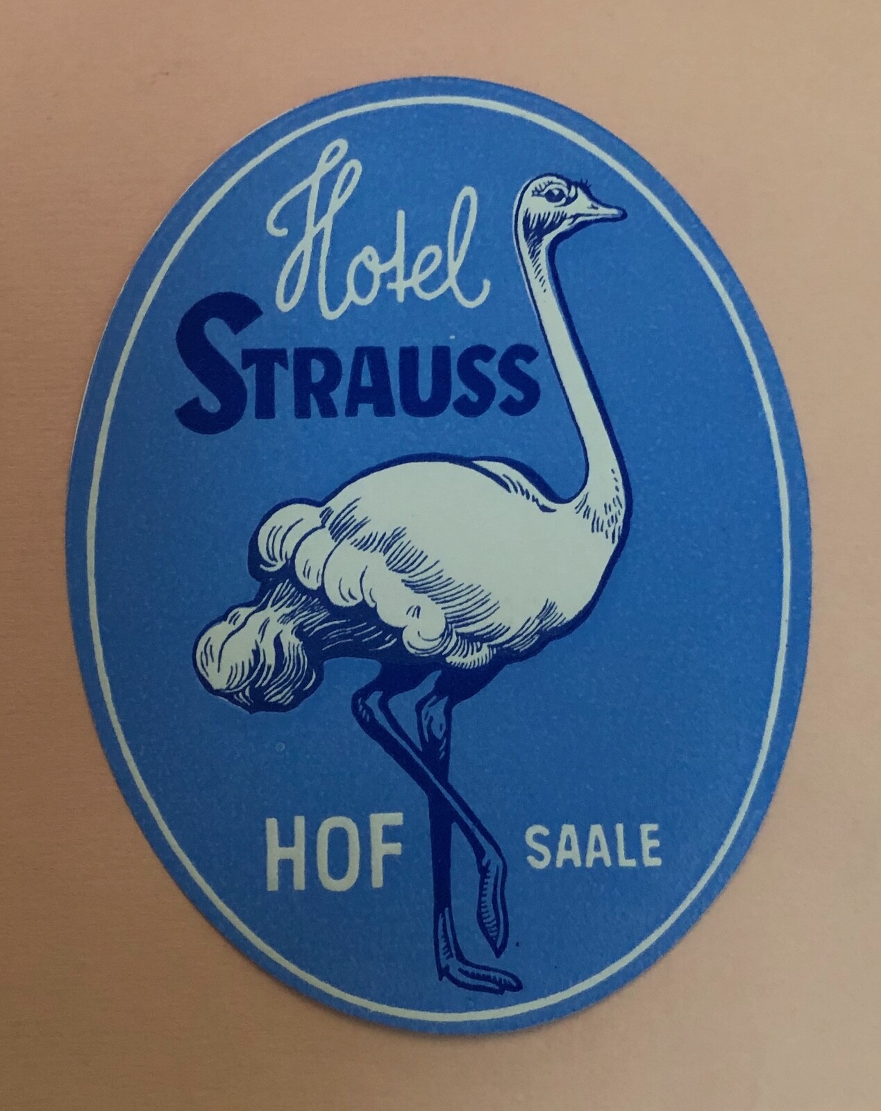 Vintage Hotel Strauss Hof Salle Germany Luggage Tag Label-image