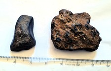 Dinosaur Fossil Rib Transverse Process Vertebra Bone + Large Theropod Coprolite