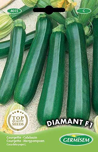 Germisem Diamant F1 Semi di Zucchine 2 g (w9E)