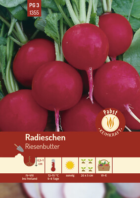 Radieschen rund & groß Riesenbutter Samen von Pabst Keimkraft