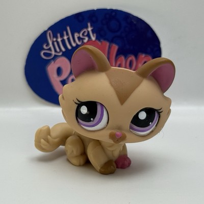 KITTEN CAT #1584 - Authentic Littlest Pet Shop - Hasbro LPS | eBay