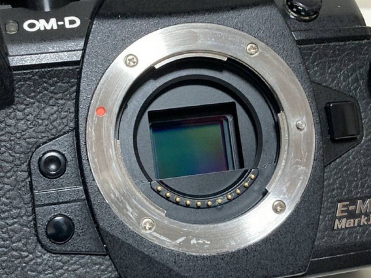 Olympus OM-D E-M1 Mark III Interchangeable Lens Camera for sale