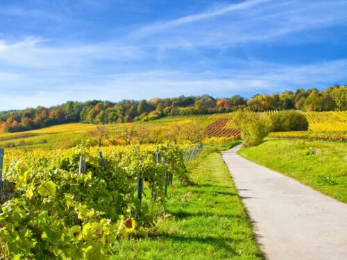 Reise Schnäppchen Bad Dürkheim 2P | 3T Kurzurlaub Pfalz | 4* Hotel + Frühstück - Bild 2 von 12