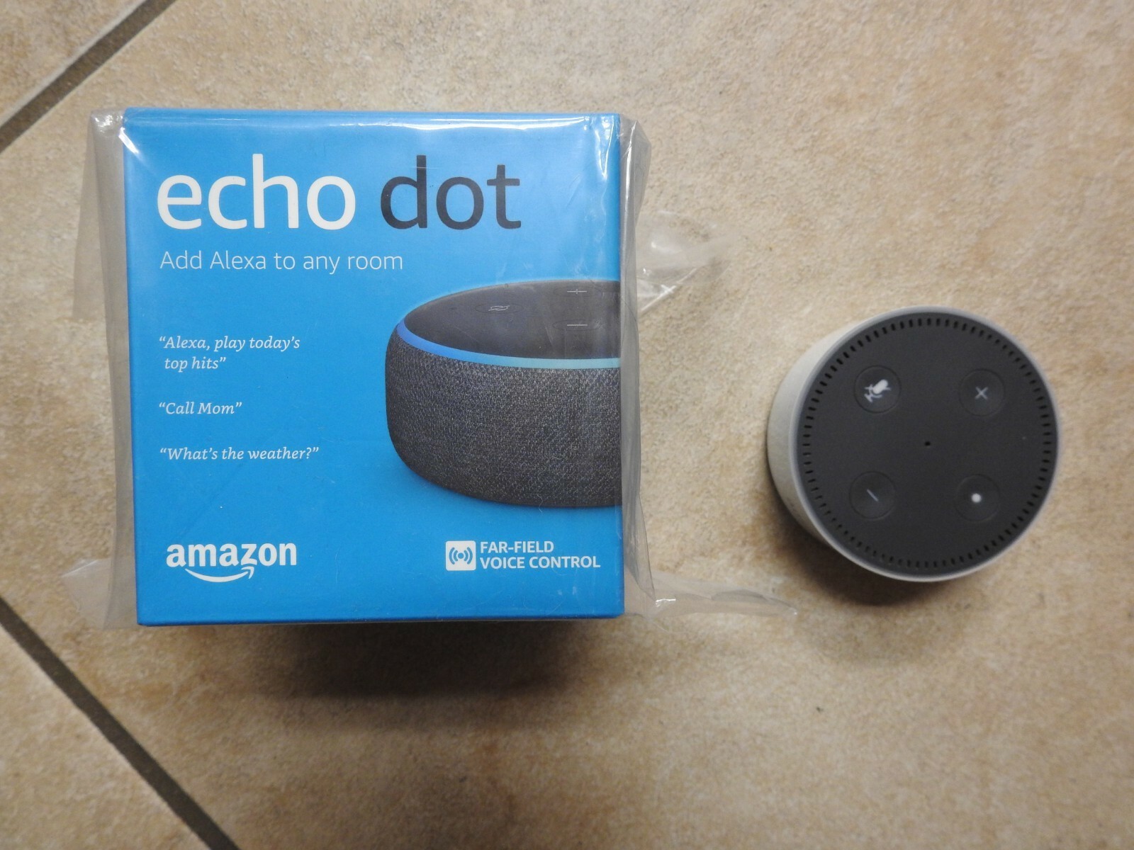 how alexa echo dot works