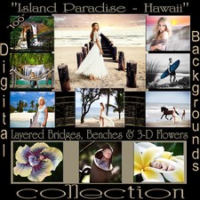 Digital Backdrops Photography Backgrounds Hawaiian Island Collection psd props I