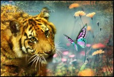 Chinese 100 real natural silk thread,su hand embroidery kits:tiger butterfly