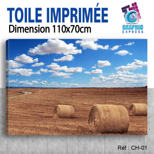 110x70cm TOILE IMPRIMEE- TABLEAU DECORATION MURALE- PAYSAGE CHAMPS CH-01 - Foto 1 di 2