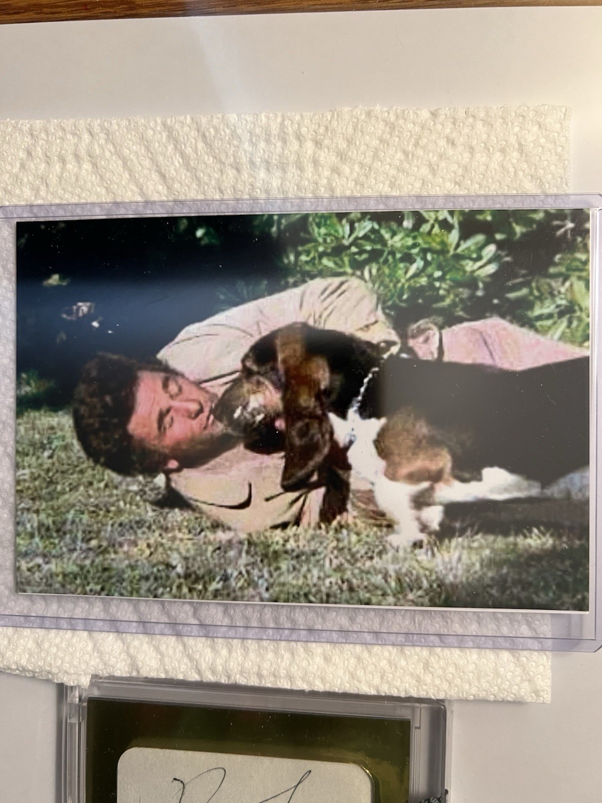 PETER FALK PSA/DNA CERTIFIED SIGNED CUT PIECES LTD. EDT. #1/1 CARD & PHOTOS view 5