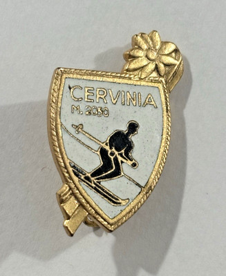 Cervinia Ski Resort Aosta Valley Italy Souvenir Skiing Pinback Pin Badge