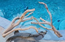 Set Of 2 Large Driftwood Manzanita Aquascape Aquarium Terariam