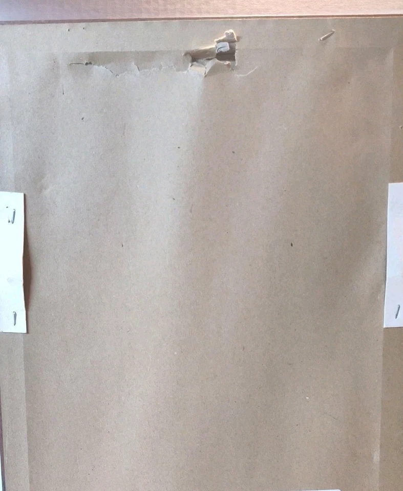 Cuadro de gallo enmarcado Foto 2 de 3