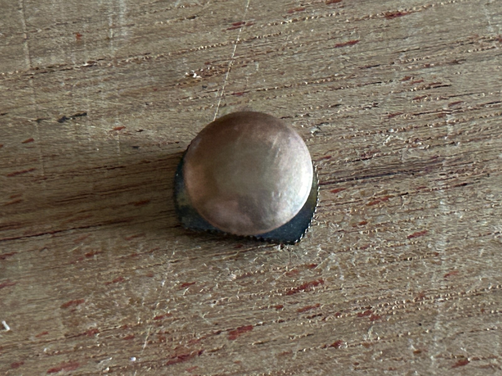 Picture 14 of 14