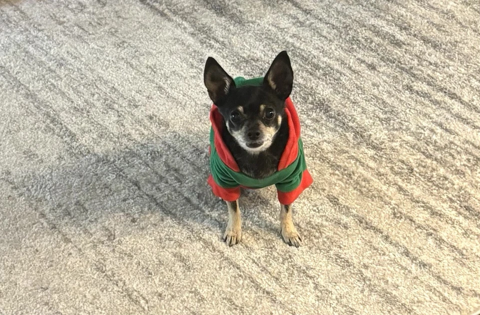 Small Dog Warm Fleece Hoodie Christmas Santa Puppy Shirt Sweater Winter Apparel - Image 3 of 3