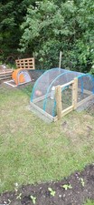 Eglu Classic + 2m Run + Hand Built Extension + Complete Chicken Starter Kit