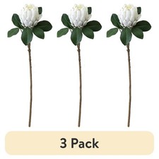  3 pack Mainstays 26.5 in White Artificial King Protea Stem