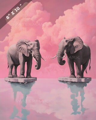 8x10 Matte Print Elephants Standing on Floating Platforms in Pink Backgro