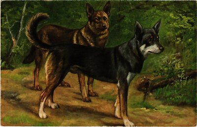 CPA Zwei schöne Hunde Hunde (1388236)