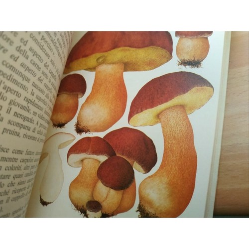 IL PORCINO, saggio sulle specie di boleti. Carlo Luciano Alessio,1978. MICOLOGIA - Picture 5 of 7