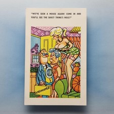 Comic Postcard C1970 Nylon Stockings Upskirt Exterminator Mouse Hole Giggle