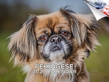 Pekingese 2027 Wall Calendar Dog Breed Pet Cute 14 Month 12x9 Monthly Planner