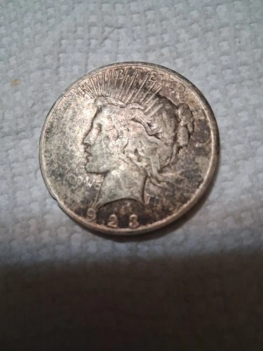 1923 S Peace Dollar  In VG To Fine  Condition In My Opinion. #427