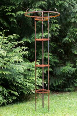 Rosenschirm H: 180cm Metall Rankhilfe Rankgerst Rost Rankschirm Eisen  Blauregen | eBay.de