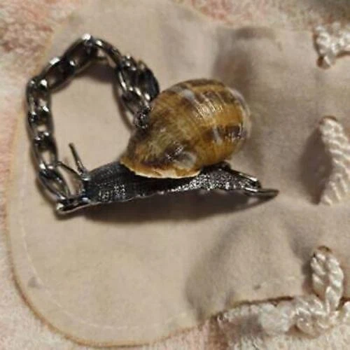Vivienne Westwood Snail Choker Necklace Rare with Box eBay