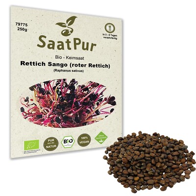 250g BIO Keimsaat für Sprossen Roter Rettich Rettich Sango Samen Keimsprossen