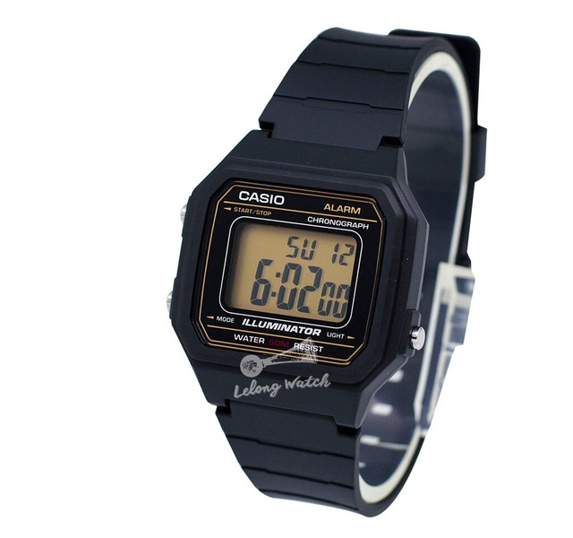 w217 casio