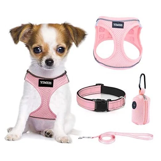 Dog Harness and Leash Set, No Pull Soft Mesh X-Small (Pack of 1) Pink-Update