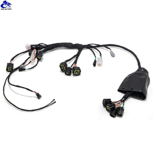 Full Main Wire Wiring Assy Harness For Sur-Ron X Light Bee X For Segway X260 - Picture 5 of 7