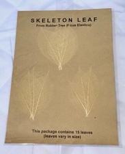15 Vintage Rubber Tree Skeleton Leaves Scrapbooking Crafts Card Making  NATURAL
