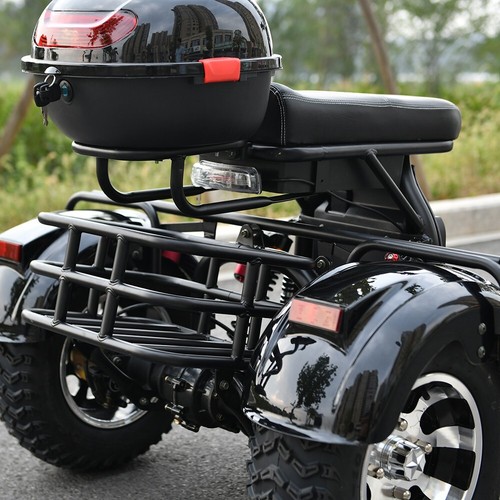 Max Loda 250KG Electric Tricycle Aldult Fat Tire Scooter 2000W Max Speed 45KM/H - Picture 22 of 24