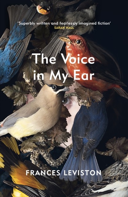 The Voice in My Ear by Frances Leviston (PB 2021) - Image 3