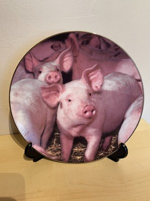 The Hamiton Collection cute Piggy Portraits Nosy Porker wall plate ltd edition