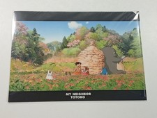 CHEMISE A4 FIN DE JOURNEE MON VOISIN TOTORO NEW (MAISON GHIBLI)