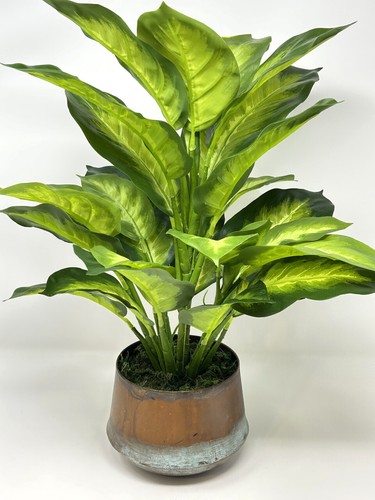 18" Lg Artificial AGLAONEMA DIEFFENBACHIA faux Silk plant in Copper Pot - Picture 5 of 11