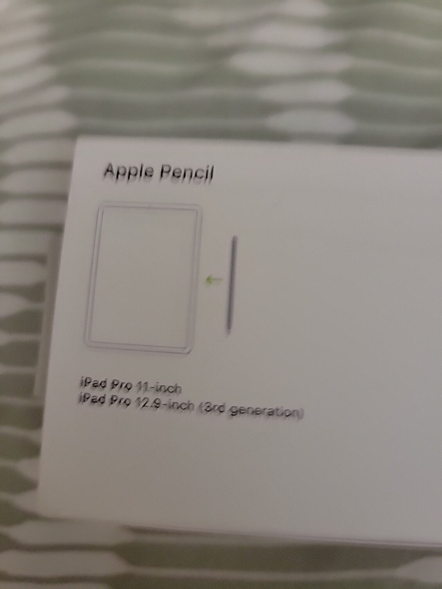 iPad Pro+Apple Pencil （箱無し) iPad Pro+Apple Pencil （箱無し)