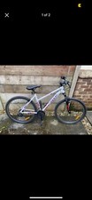 Indur Mountain Bike